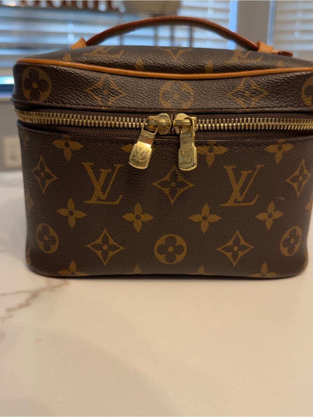 Louis Vuitton Nice Bag